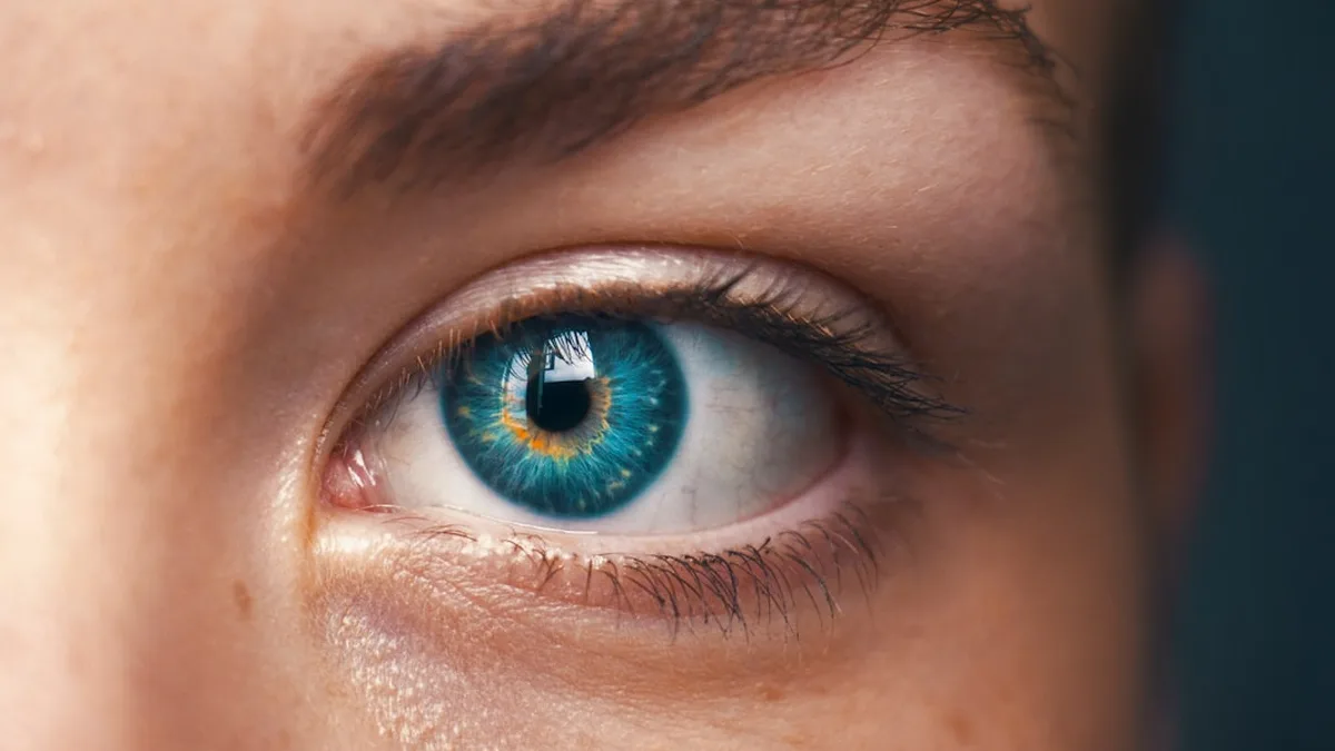 rides sous les yeux que faire — Rides sous les yeux que faire : ce que disent les sources